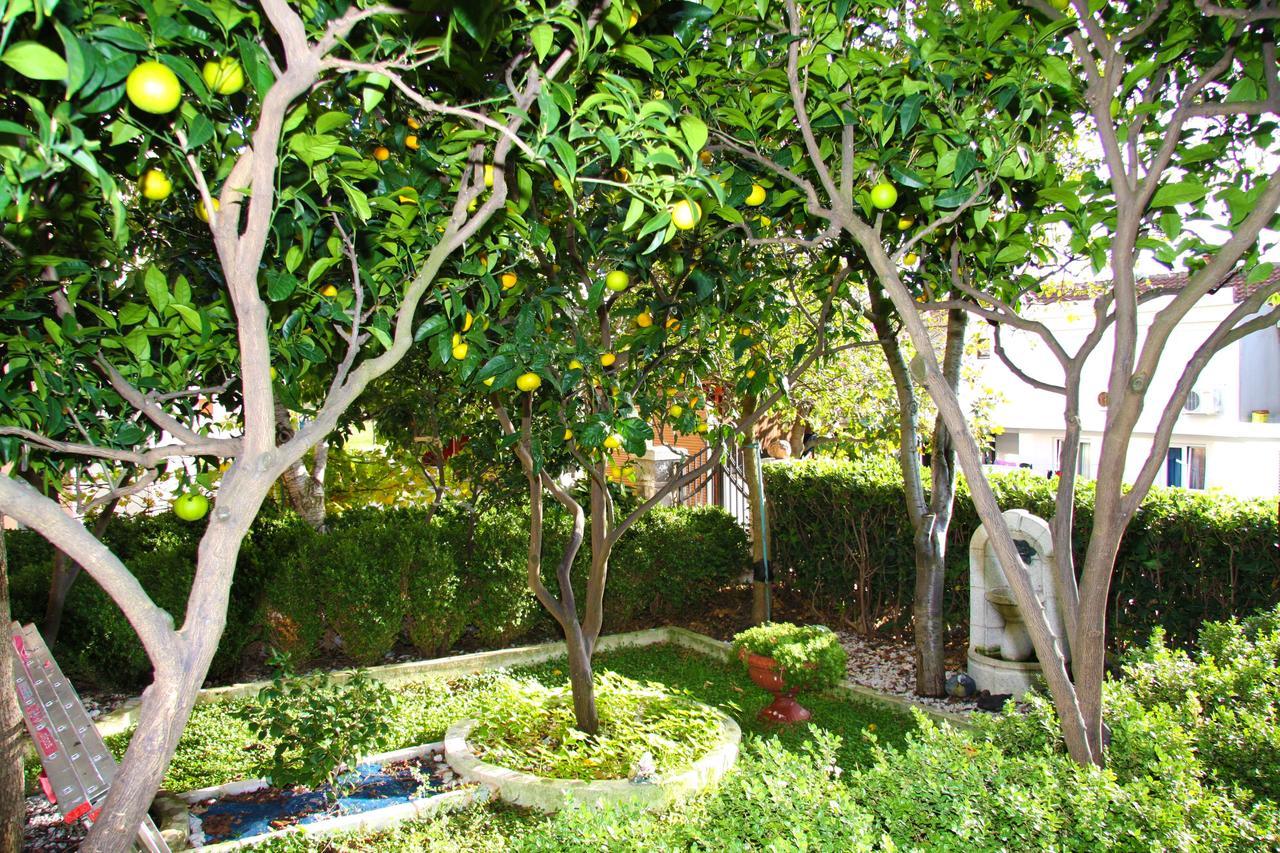 Mm Kovacevic Apartments Petrovac Kültér fotó